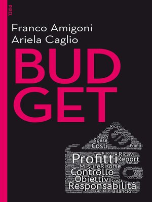 cover image of Budget